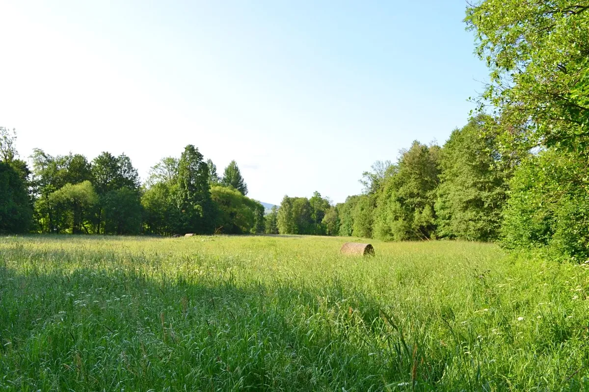 Prodej louky 14932 m²
